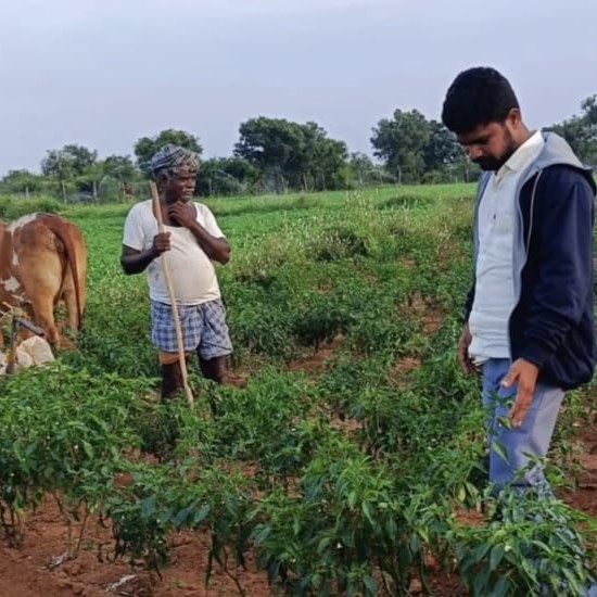 Farmer Story 2